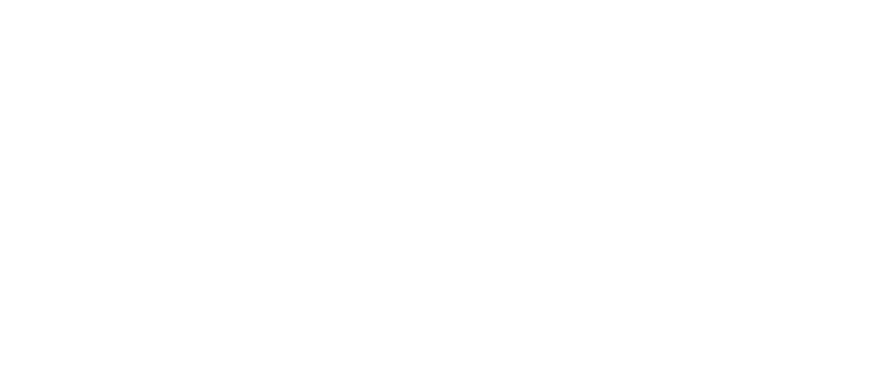 Anthony L.G PLLC